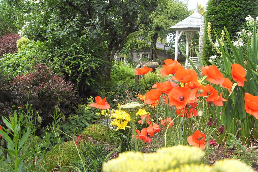 Close up of the garden flowers with the bench and cottage in the background