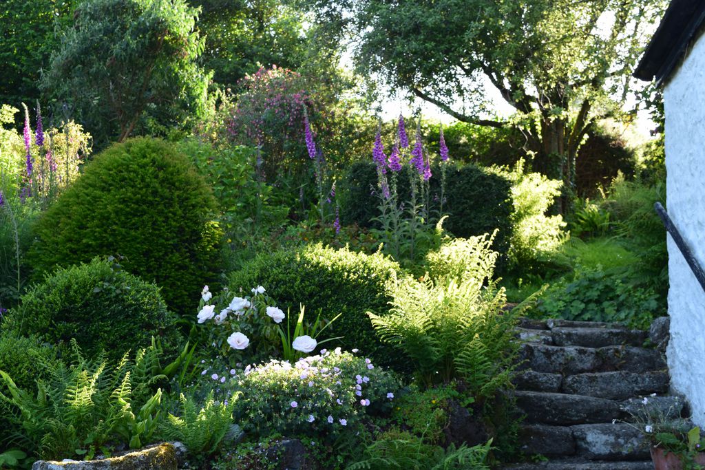 Well established garden at the property