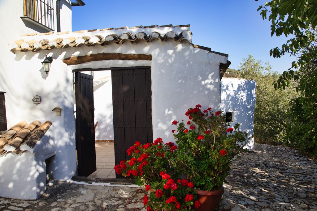 Cortijo Las Rosas 4 - Gallery