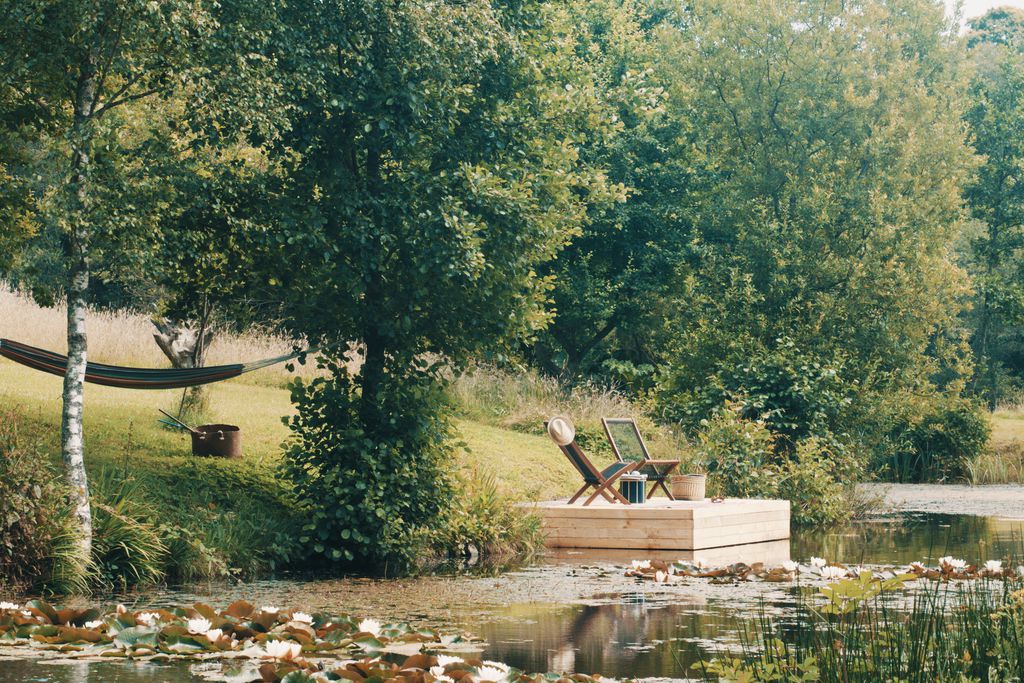 Pontoon overlooking the lake