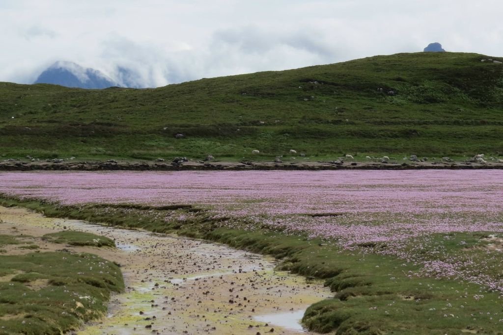 Gille Buidhe's Broch 17 - Gallery