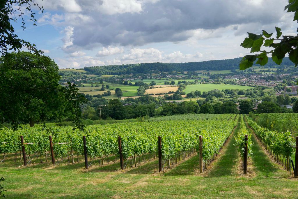 Woodchester Valley Vineyard Barns 2 - Gallery