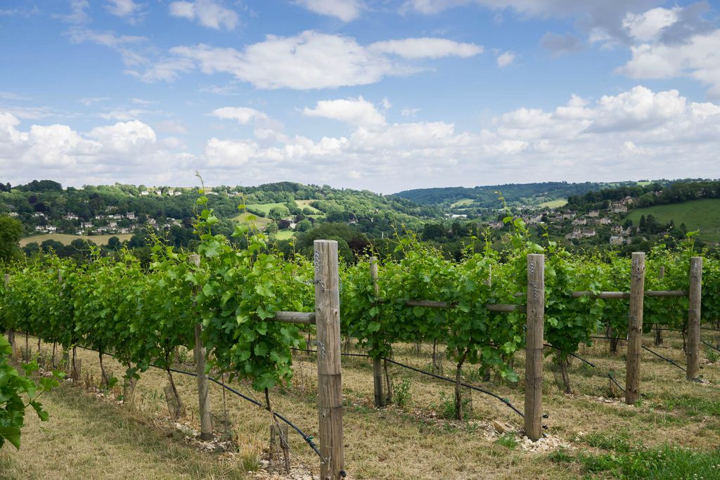 Woodchester Valley Vineyard Barns 15 - Gallery