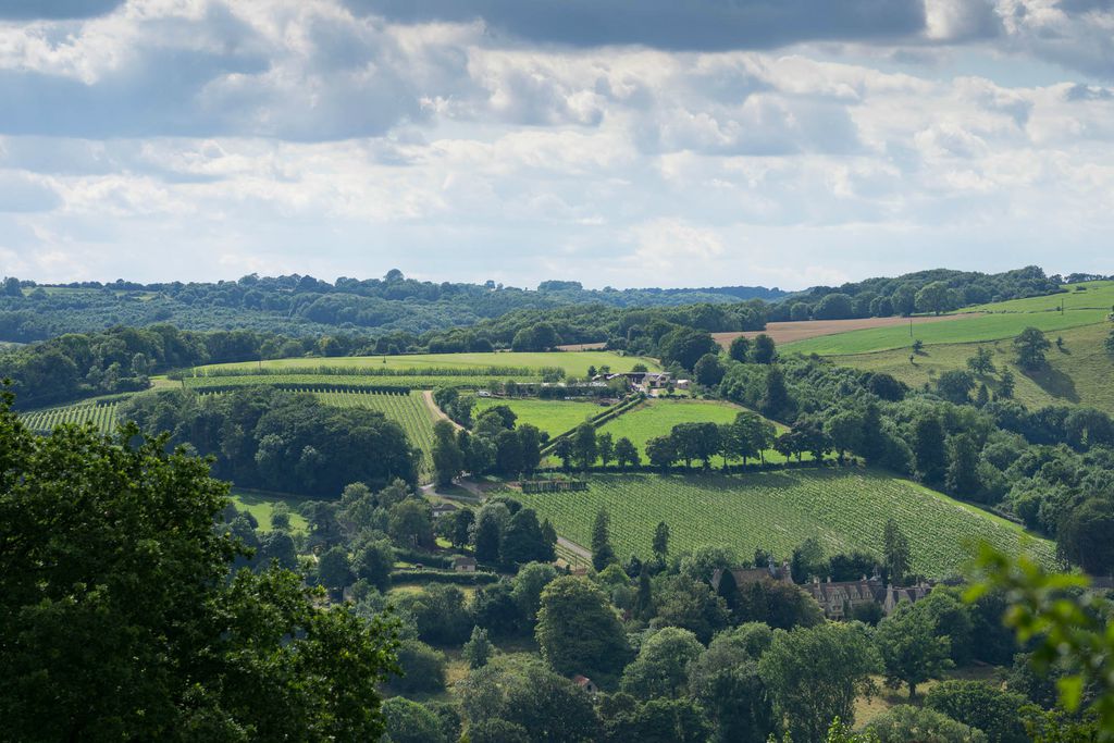 Woodchester Valley Vineyard Barns 16 - Gallery