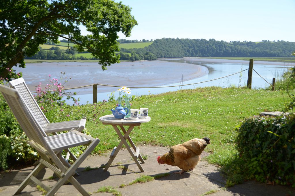 The garden of South Hooe Count House overlooking the river