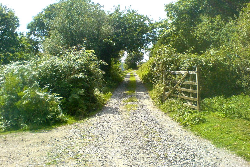 Gate and lane leading to the house