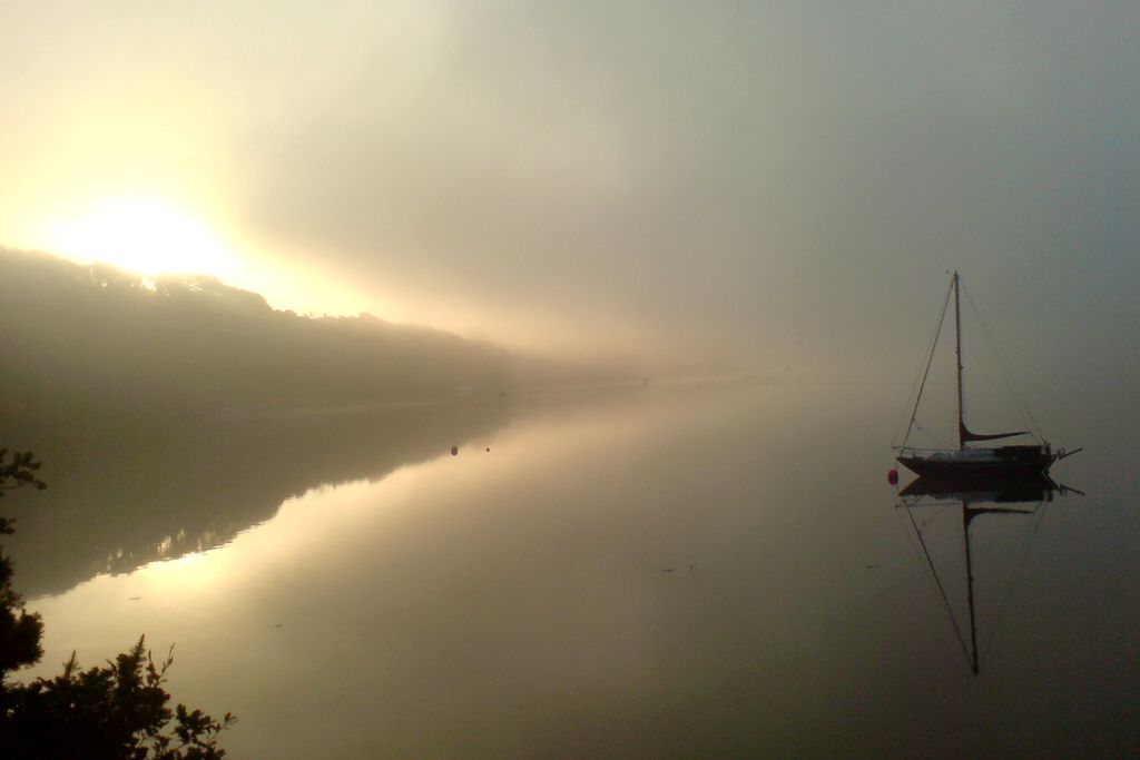 Misty morning on the river