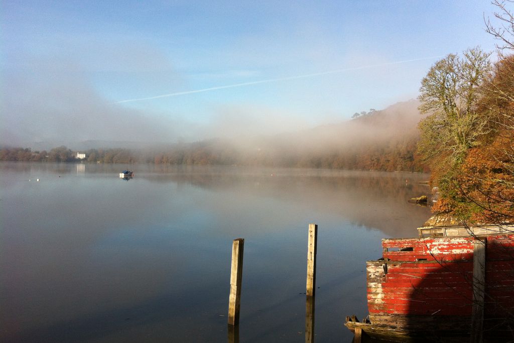 Quiet morning on the river