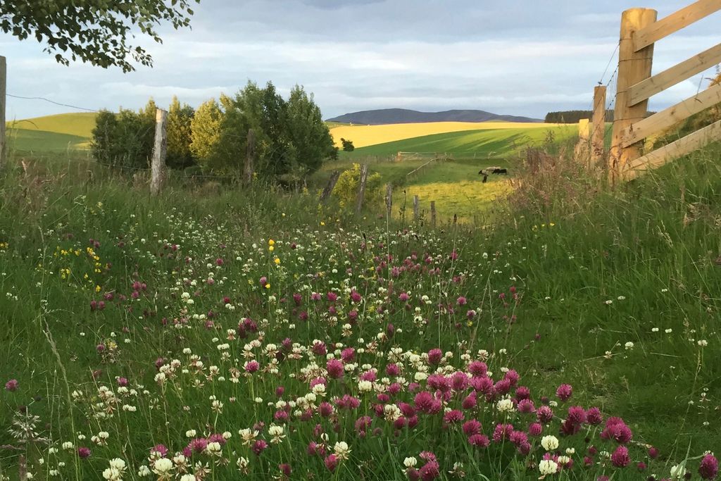 Footpath leading to surrounding countryside at The Lint Mill in Lanarkshire, with a view of rolling hills