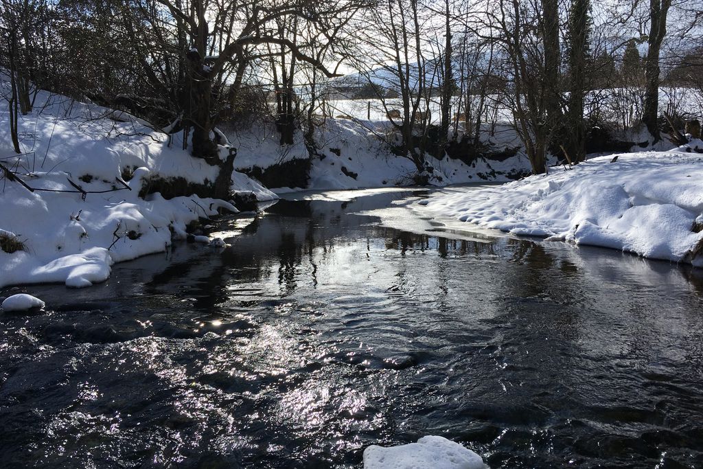 Monnow River Cottage 19 - Gallery