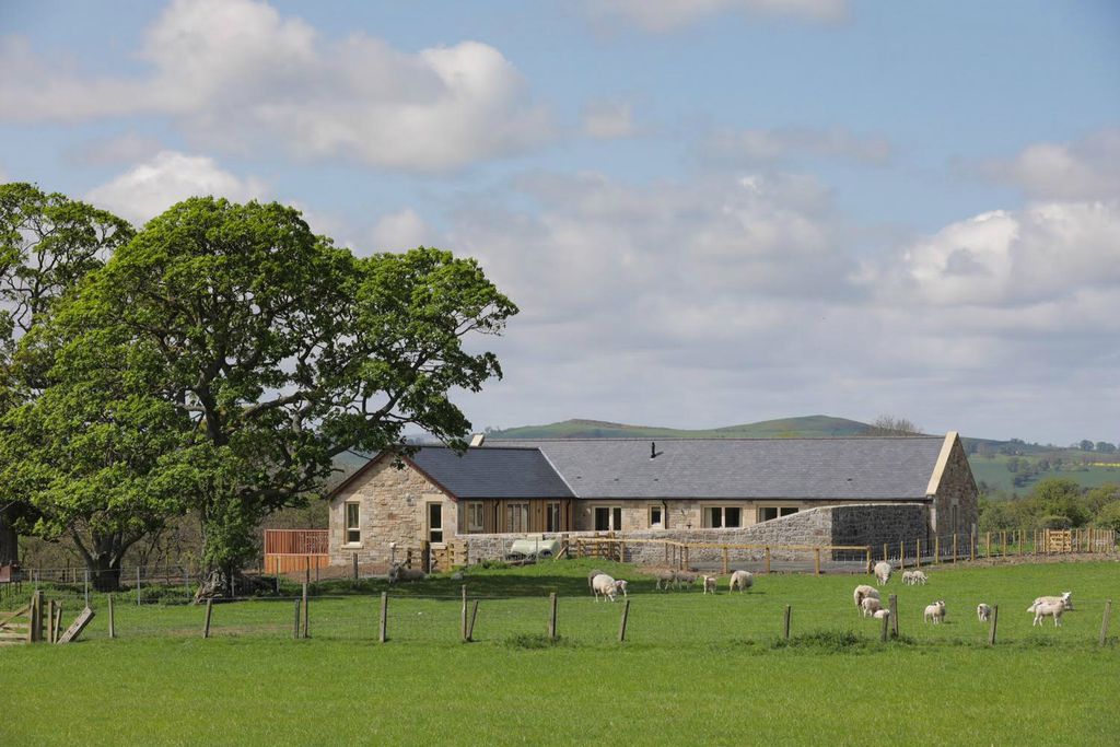 Teal House Learchild in the Northumbrian countryside with sheep in the field 