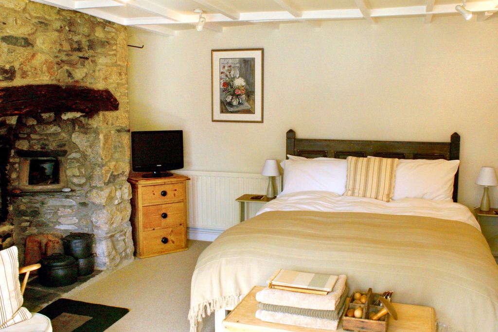 Master bedroom, with large double bed, fireplace and television 