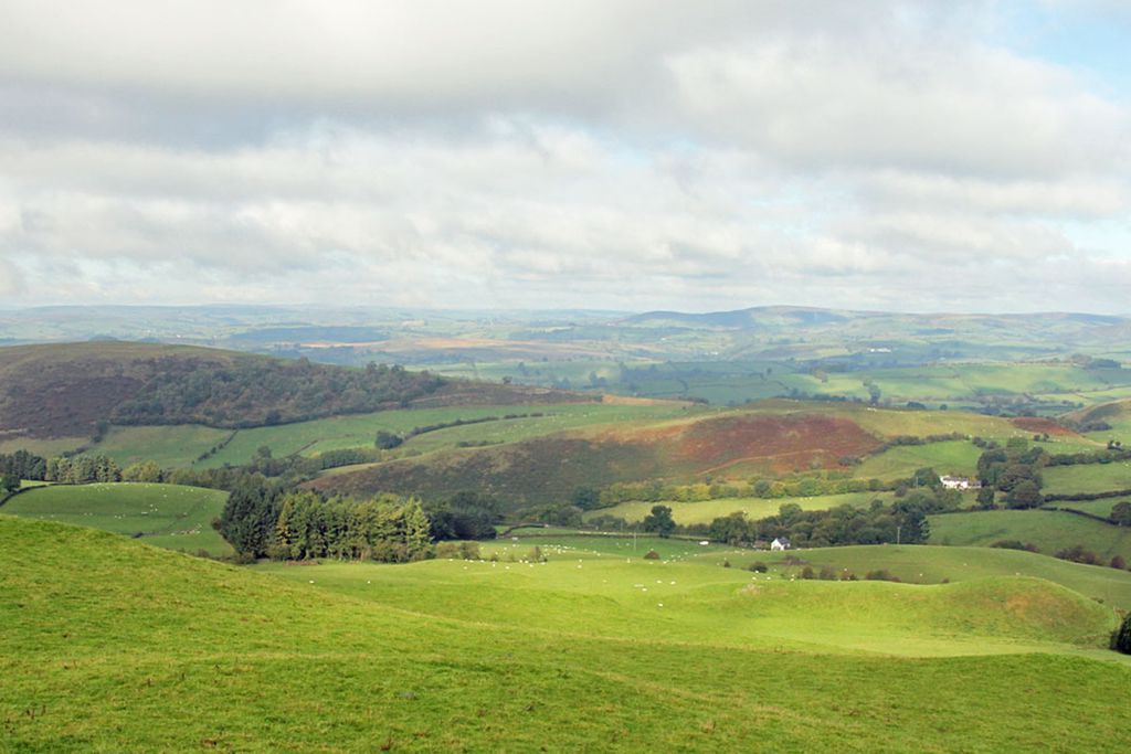 Drovers Retreat 15 - Gallery