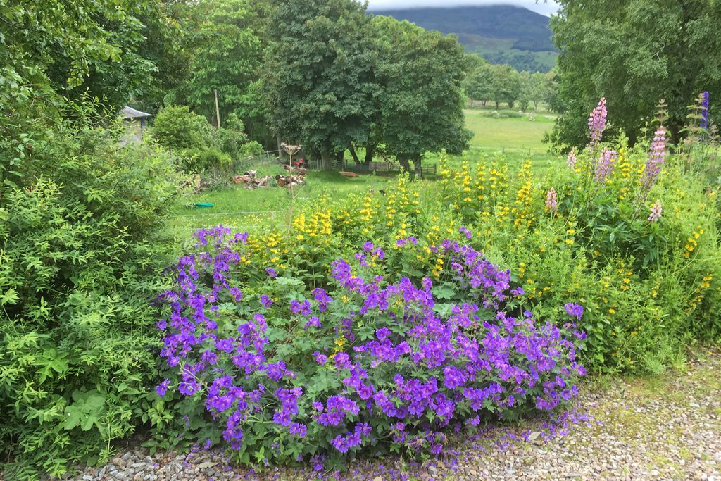 Rose Cottage, Dunalastair Estate 14 - Gallery