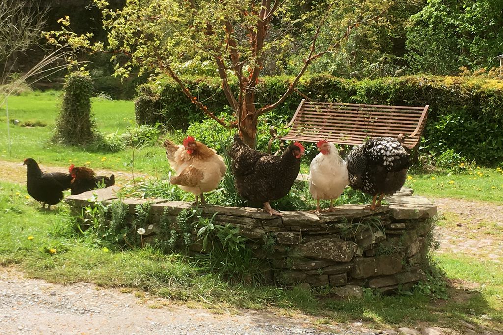 The Granary at Priory Mill 19 - Gallery