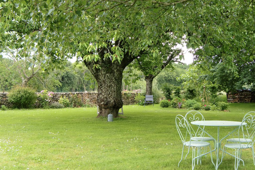 Chambres d'hôtes du côté de l'Ombrière 17 - Gallery