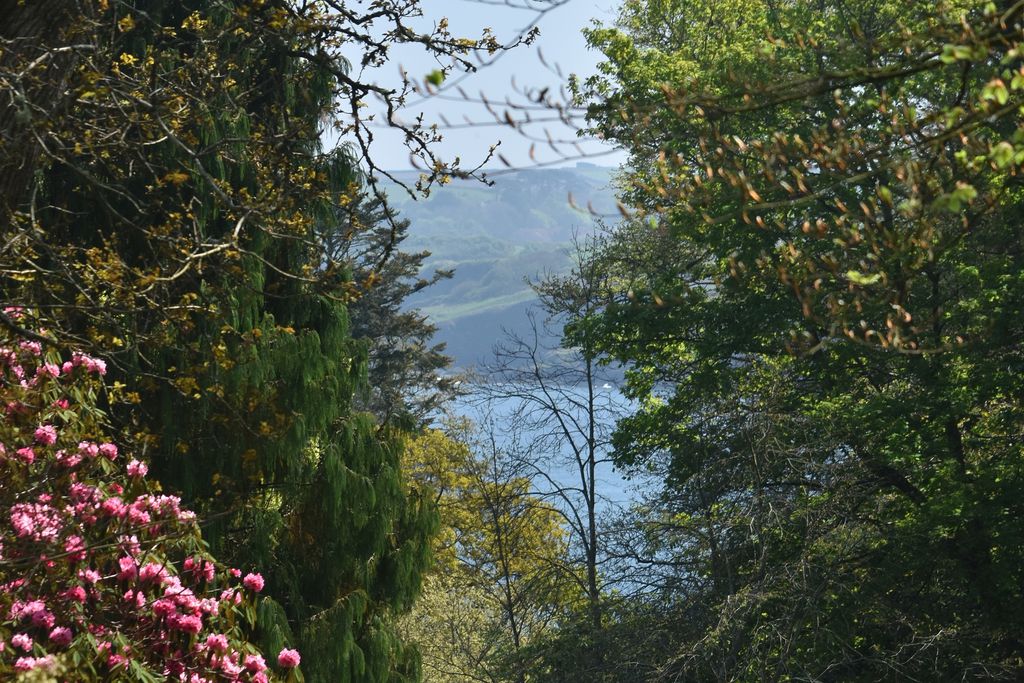 Glendurgan gallery 4 - Gallery