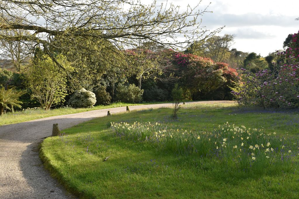 Glendurgan gallery 5 - Gallery