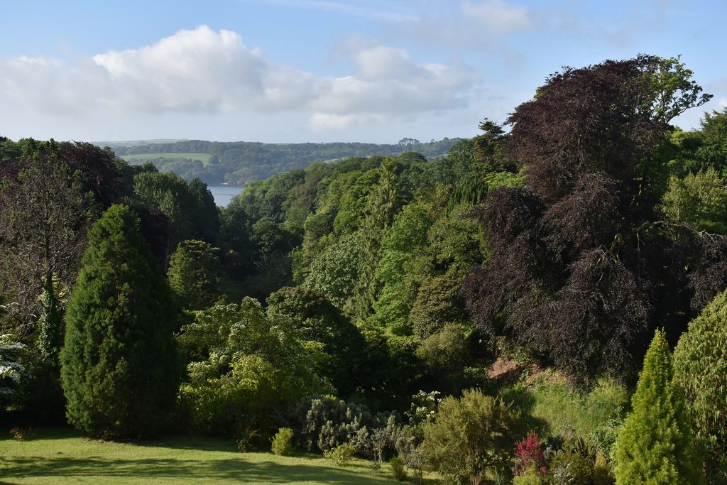 Glendurgan gallery 11 - Gallery