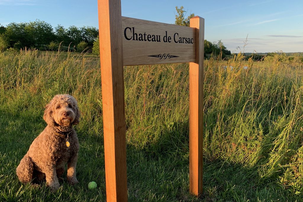 Château de Carsac 18 - Gallery