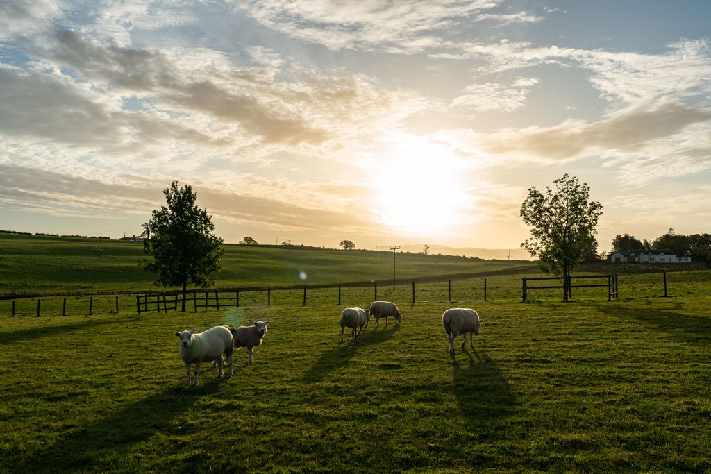 East Cambusmoon Holiday Cottages 14 - Gallery