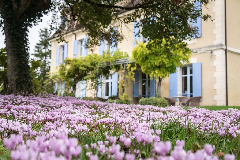 Château Gauthié 17 - Gallery