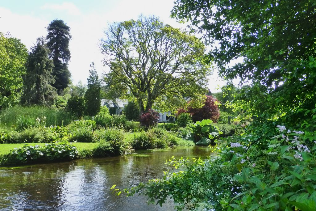 Mount Usher Gardens 9 - Gallery