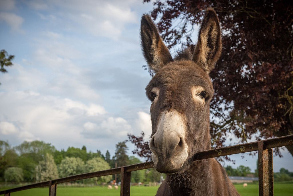 Huntlands Farm 8 - Gallery