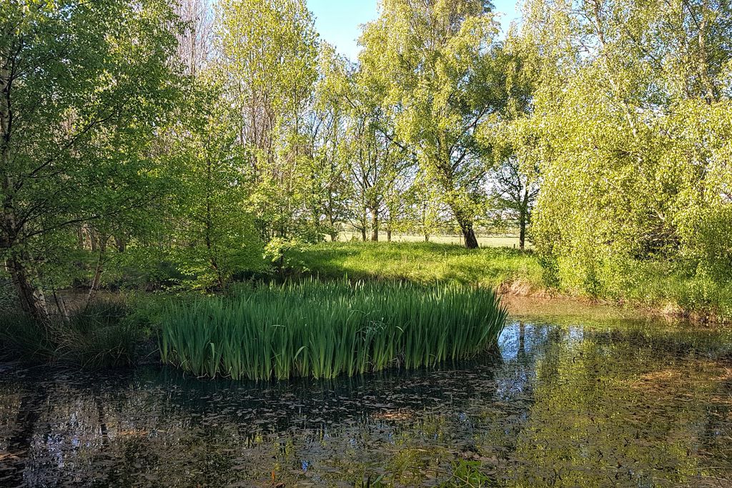 Newt Cottage at Hunting Hall 9 - Gallery