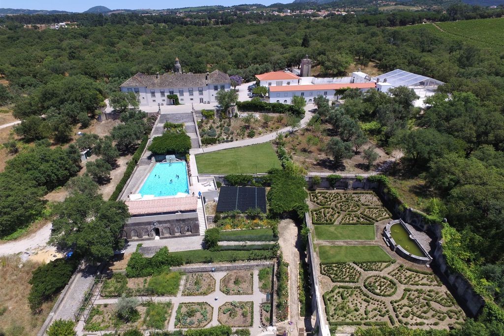 Quinta da Conceicao 2 - Gallery