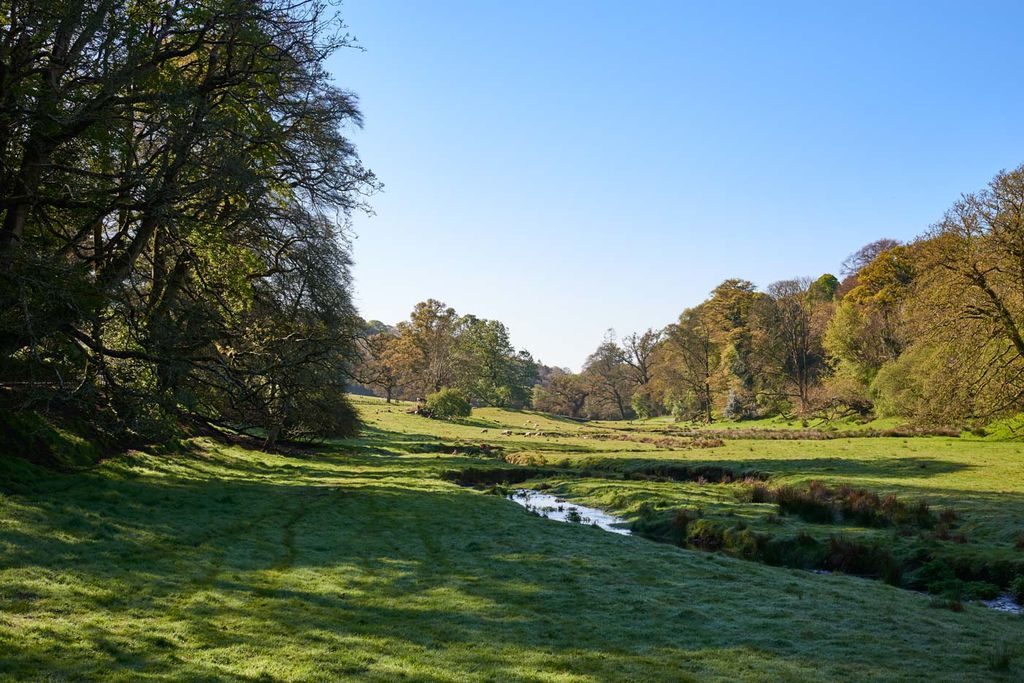 Groom's House at Boconnoc 20 - Gallery