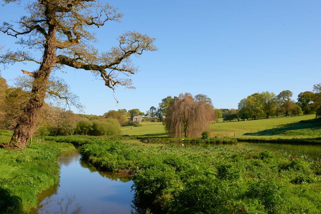 Head Groom's House at Boconnoc 19 - Gallery