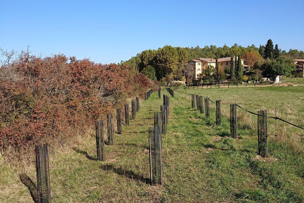 Une Campagne en Provence 17 - Gallery