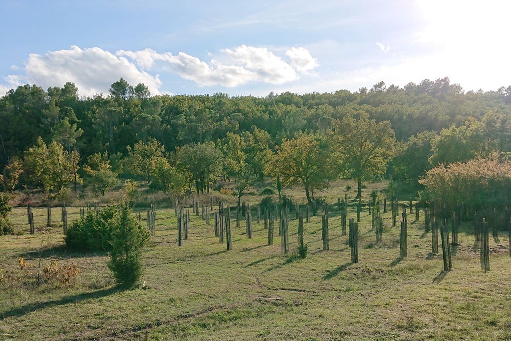 Une Campagne en Provence 18 - Gallery