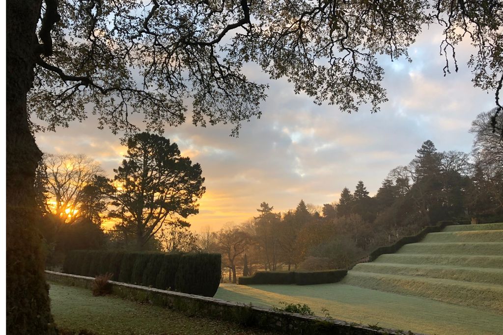 Dartington Hall 6 - Gallery