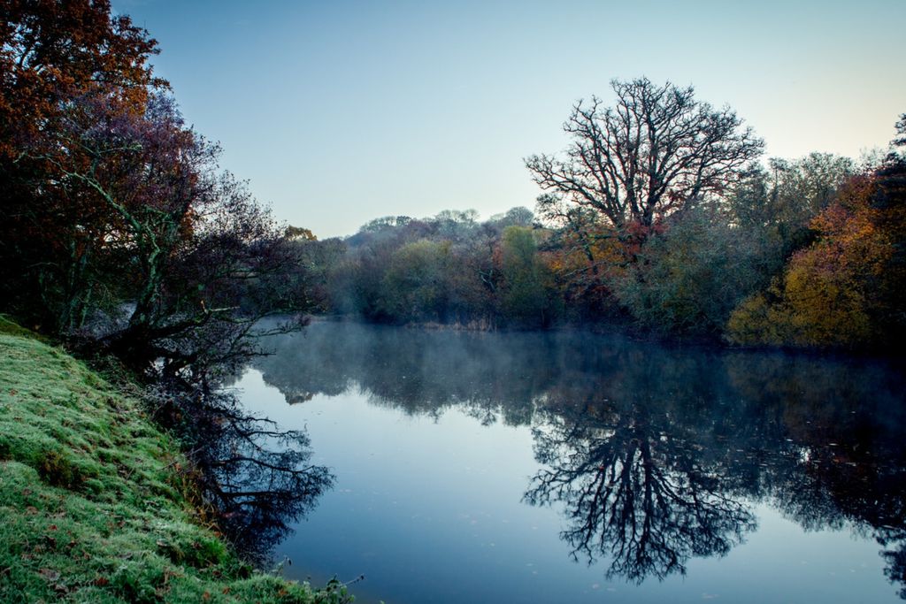 Dartington Hall 16 - Gallery