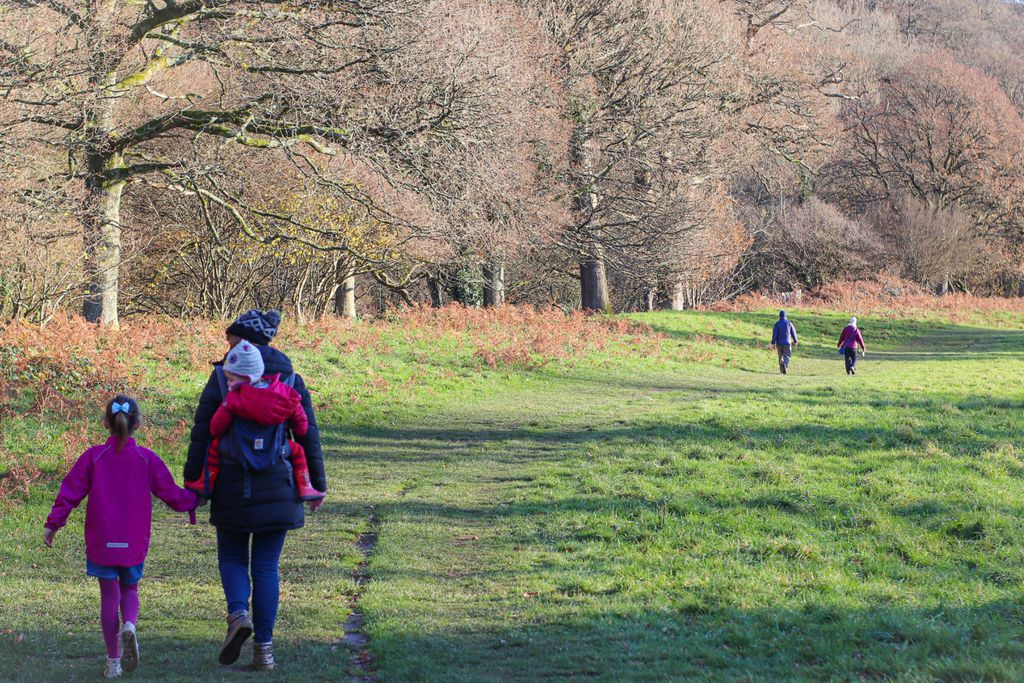 Dartington Hall 19 - Gallery