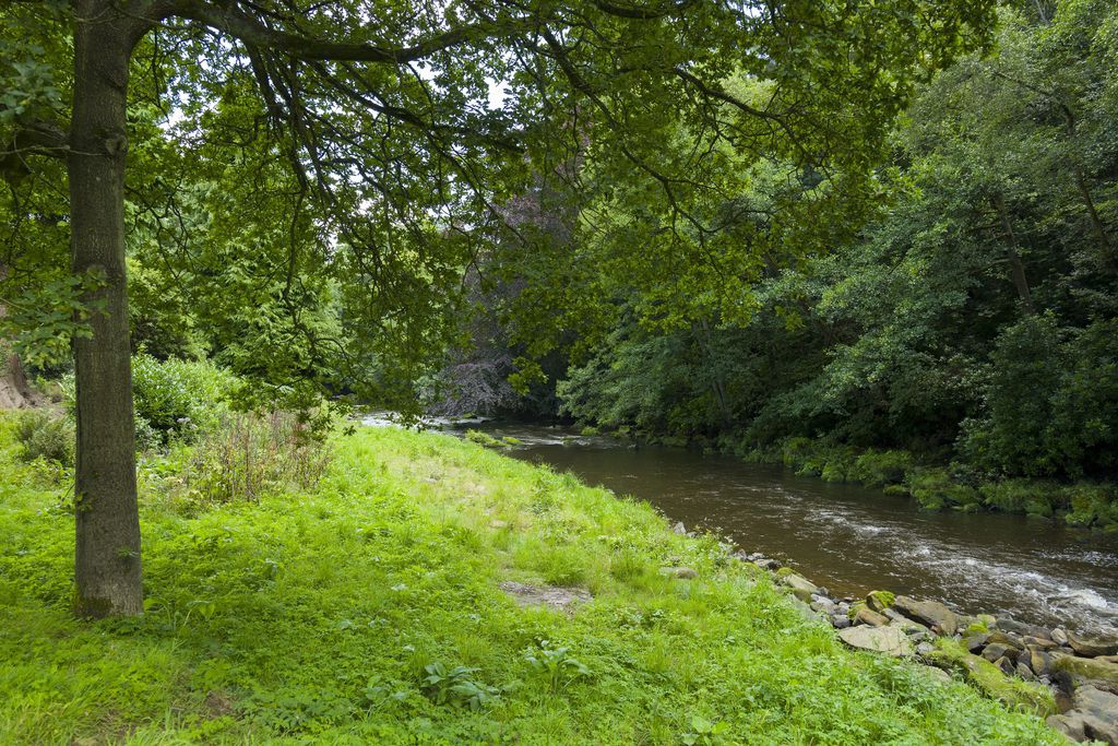 Egton Estate, Egton Bridge 4 - Gallery