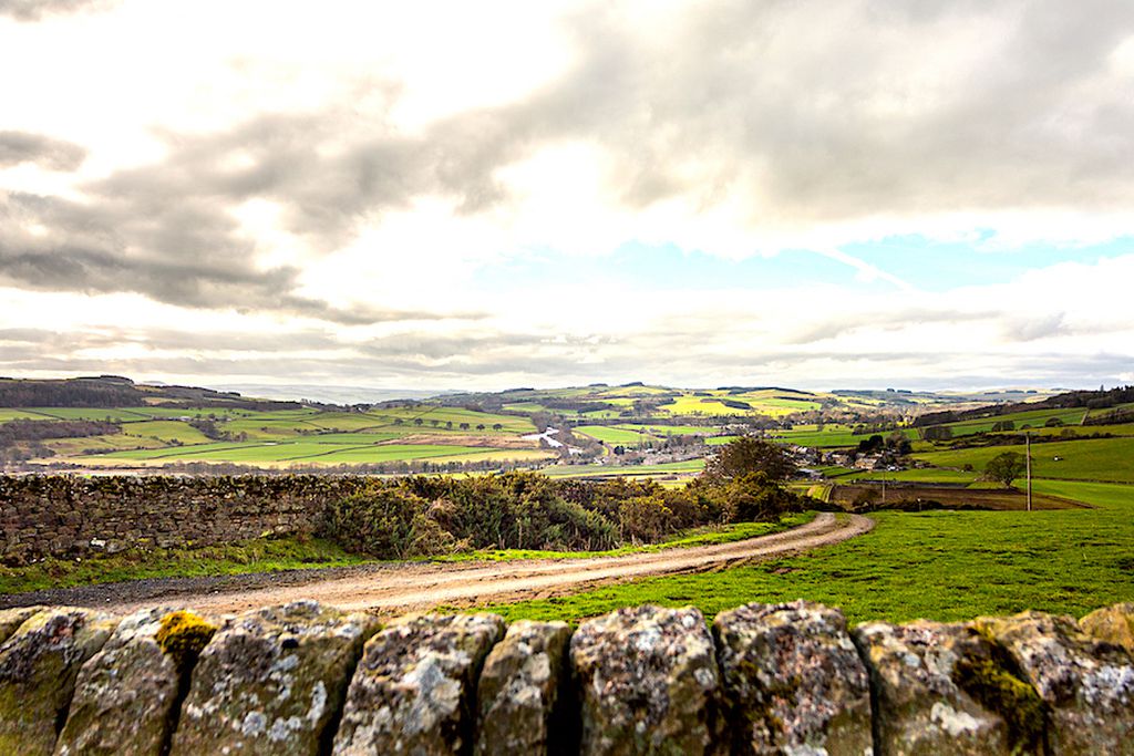 Laverick Cottage 12 - Gallery