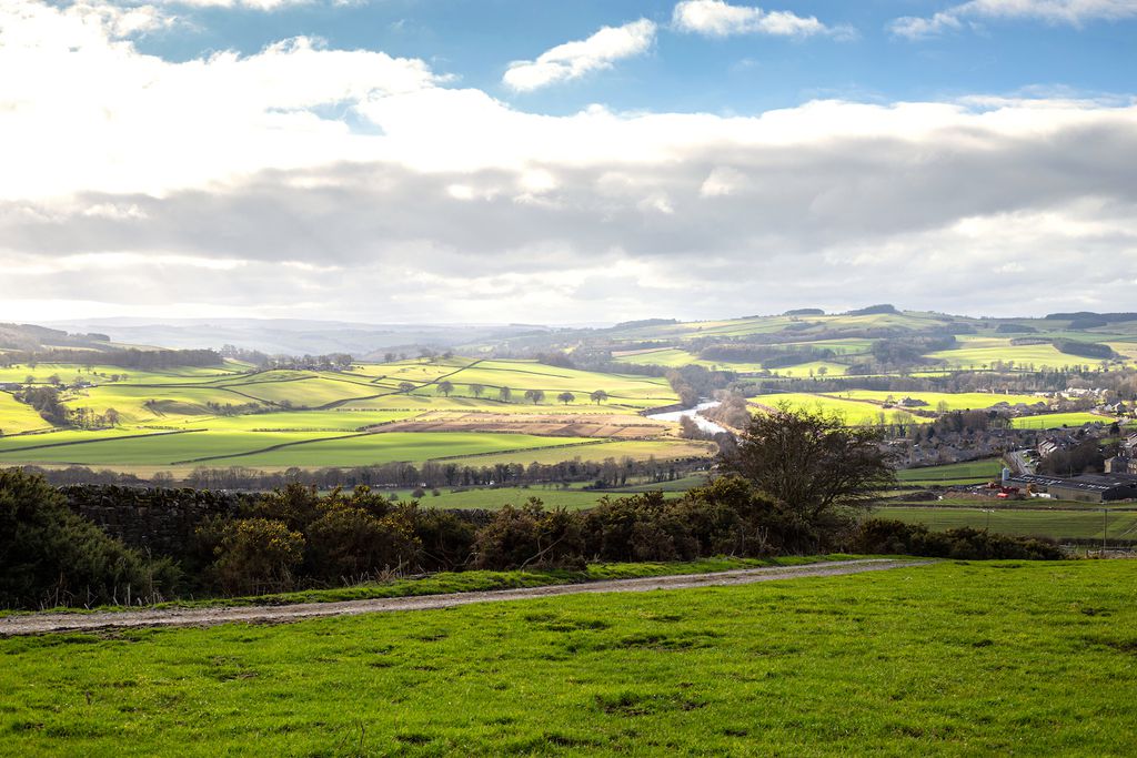 Laverick Cottage 2 - Gallery
