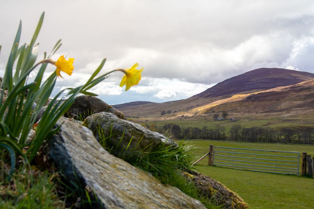 Colmeallie Bothy 7 - Gallery