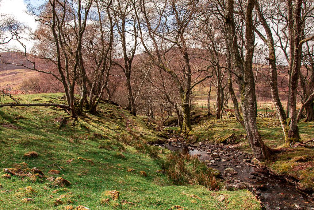 Colmeallie Bothy 16 - Gallery