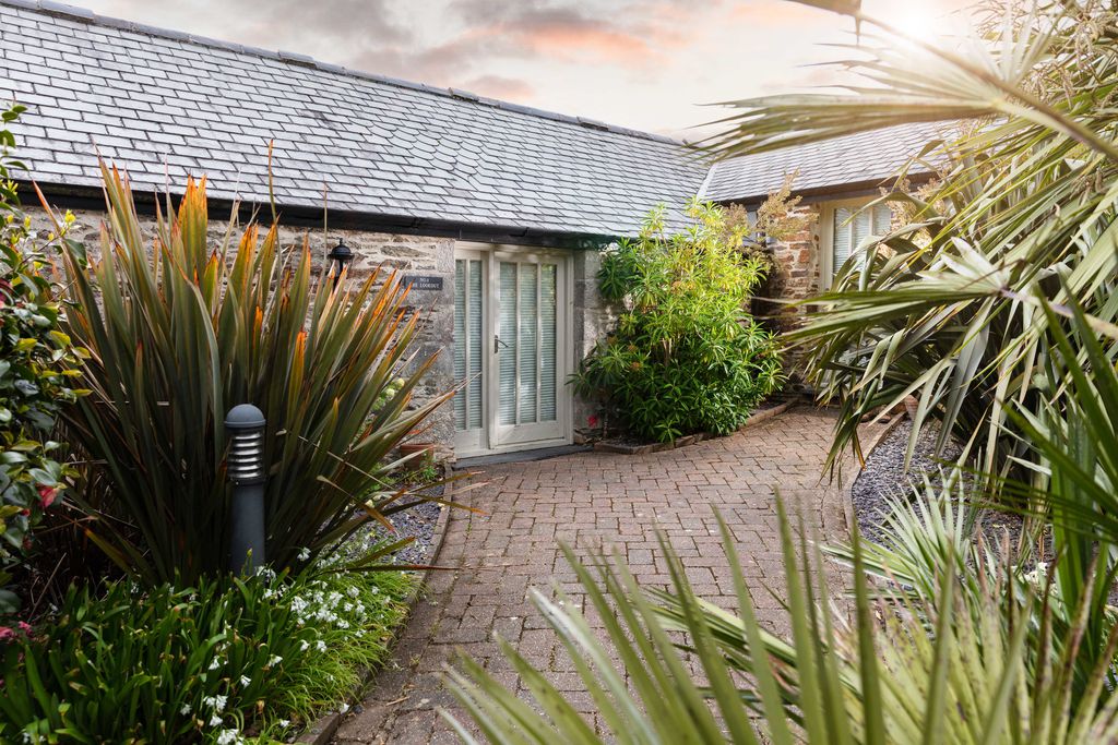 The Plume of Feathers 20 - Gallery