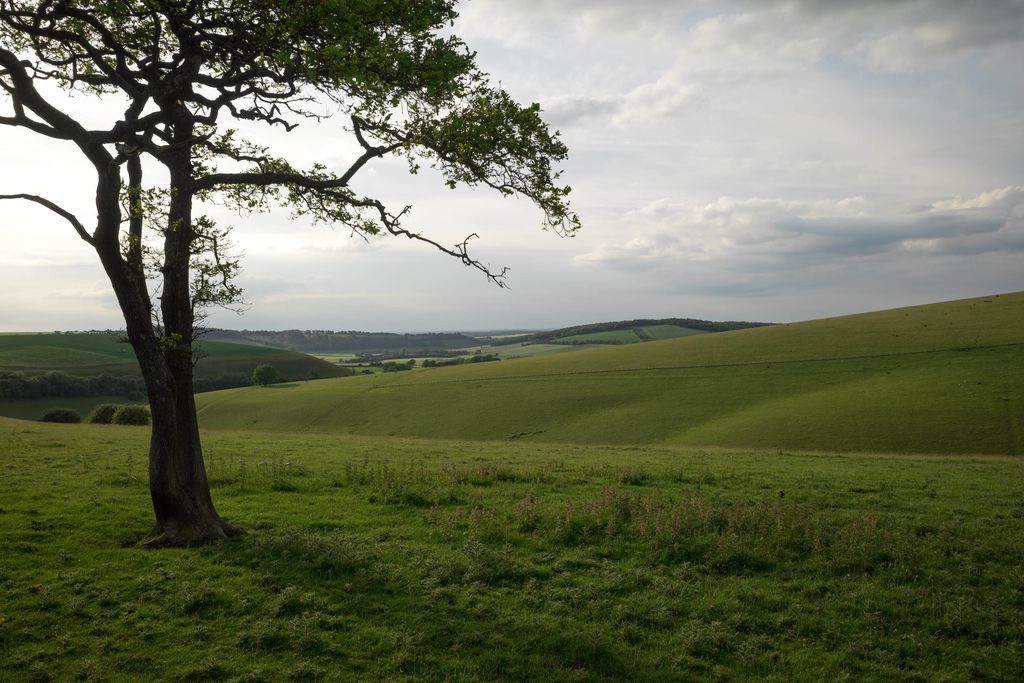 South Downs Eco Lodge 12 - Gallery