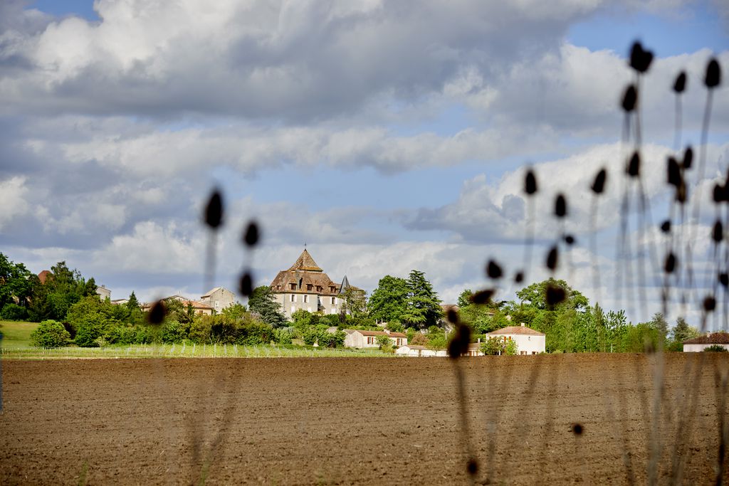 Château & Gites de Carsac 3 - Gallery