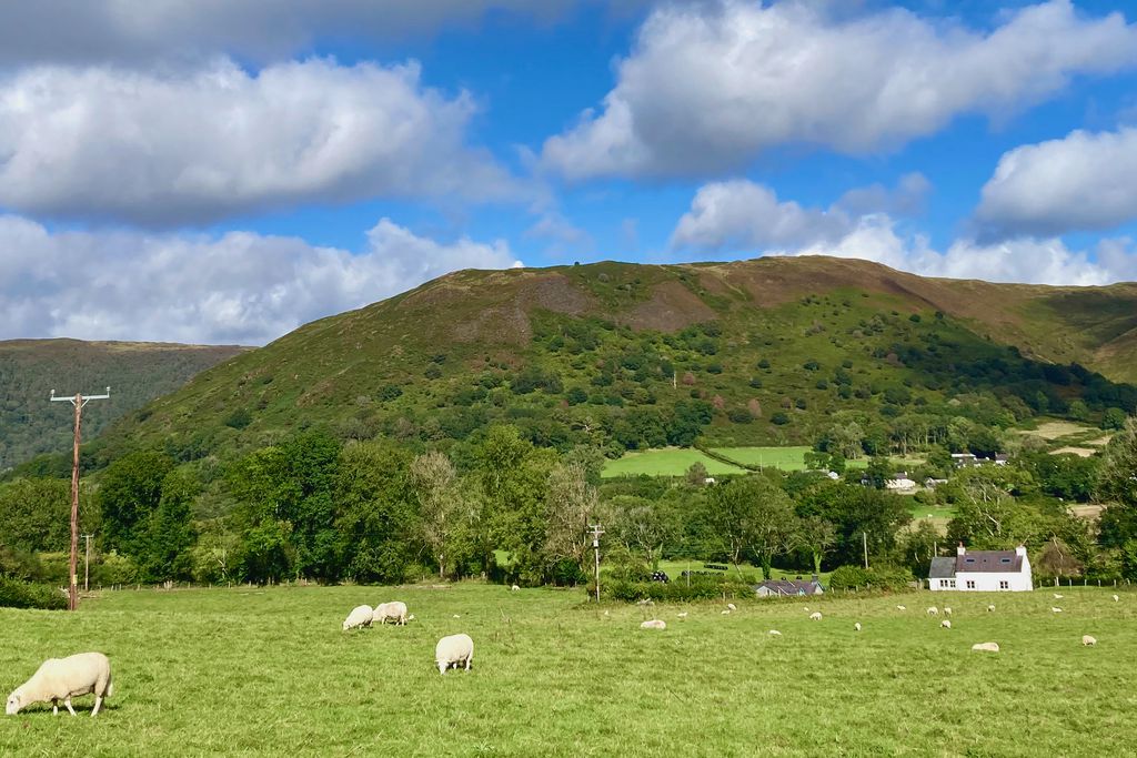 Brynglas Cottage 18 - Gallery