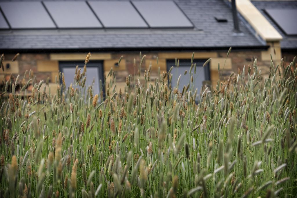 The Hemmel 19 - Gallery