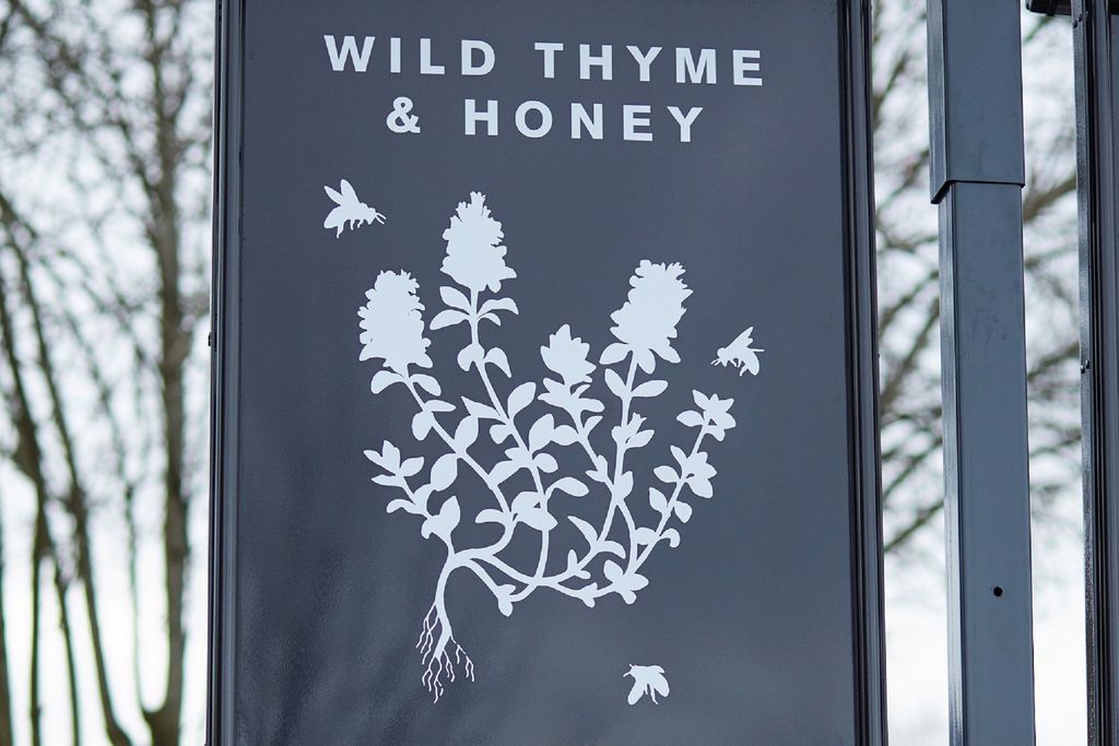 Wild Thyme & Honey 20 - Gallery