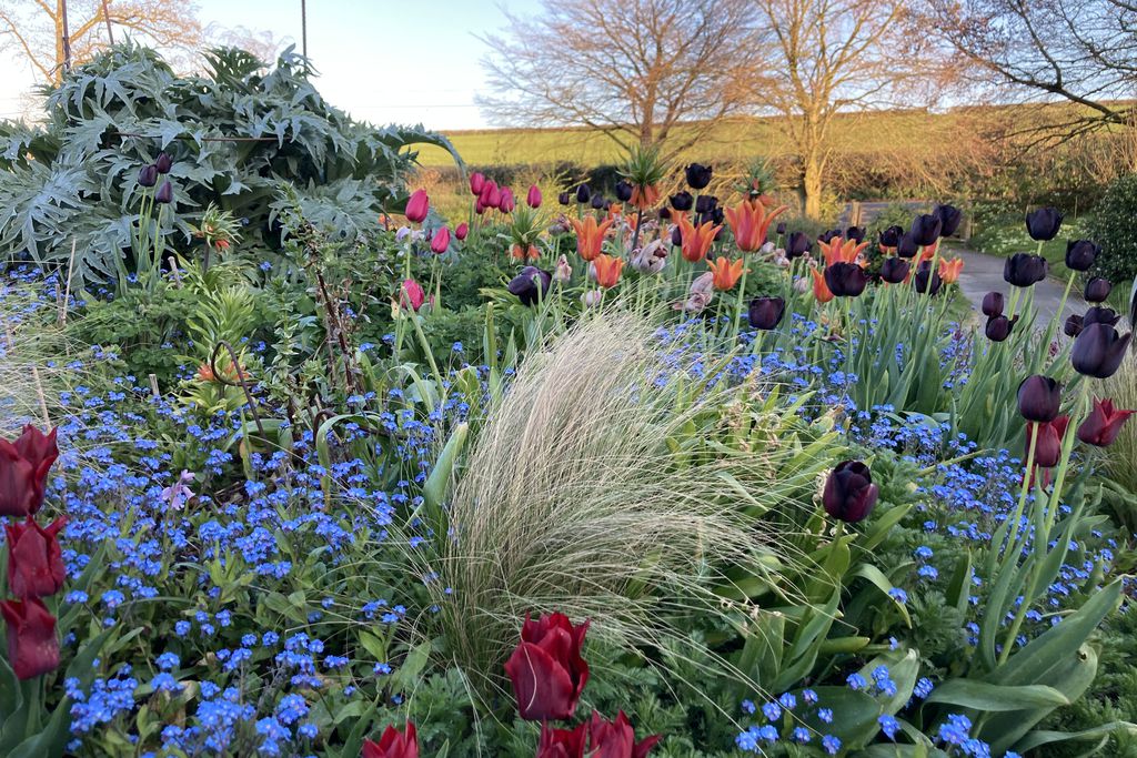 Frizenham Farmhouse B&B 6 - Gallery