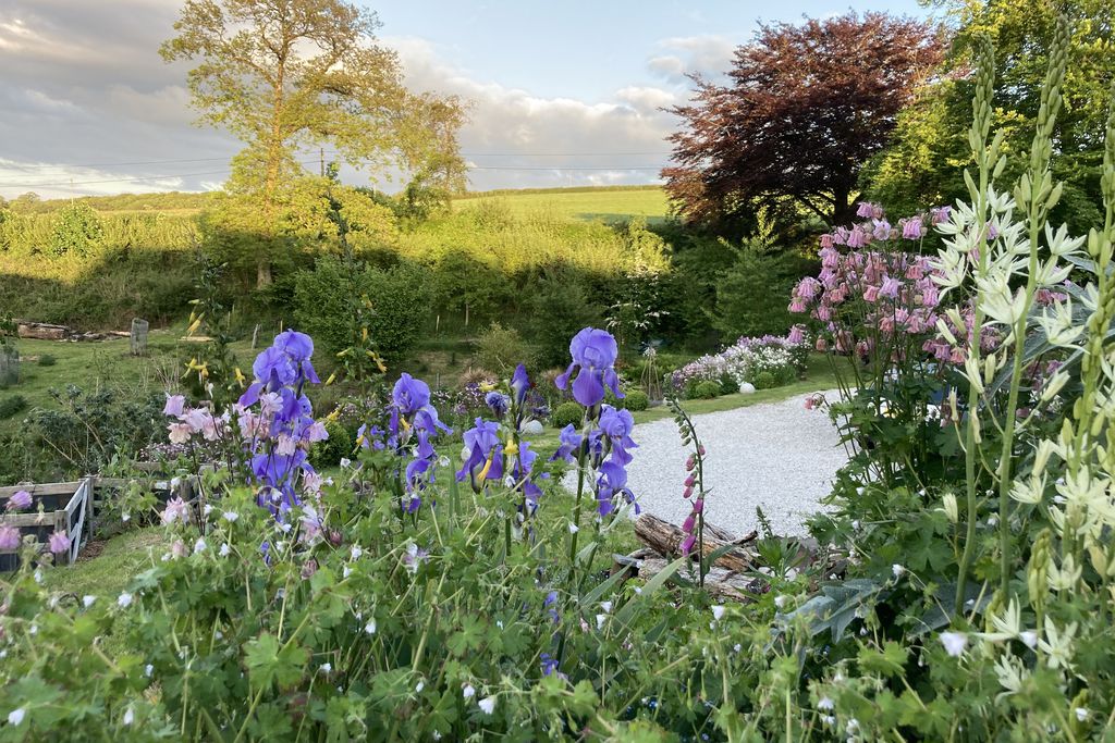 Frizenham Farmhouse B&B 19 - Gallery